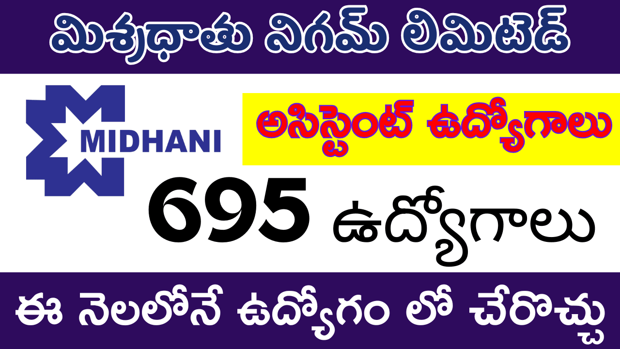 MDNL Assistant Recruitment 2024 Apply