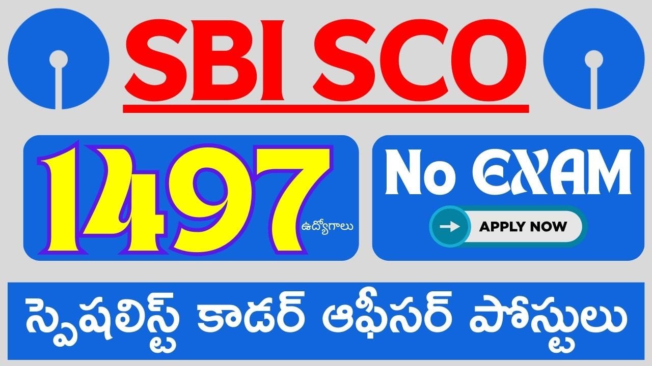 SBI SCO Recruitment 2024